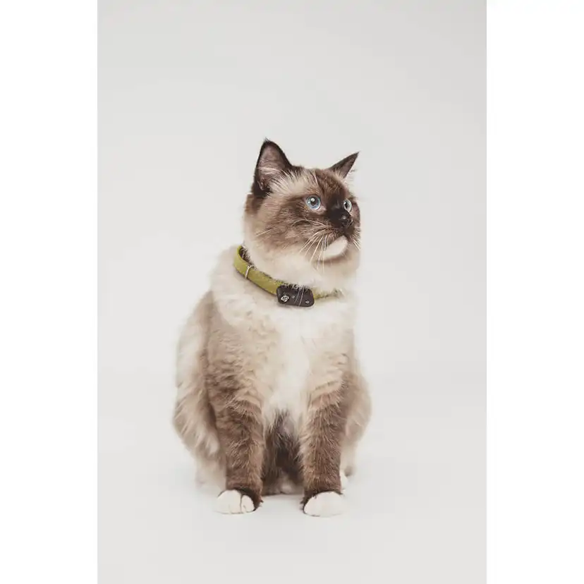 Fästingskydd TICKLESS Mini Katt Radie 2,5 m