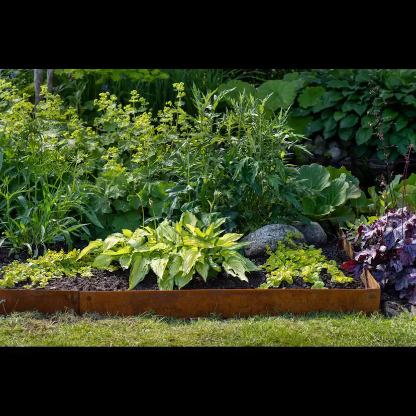 Rabattkant Skotte Garden 18x100 cm 20-Pack Corten