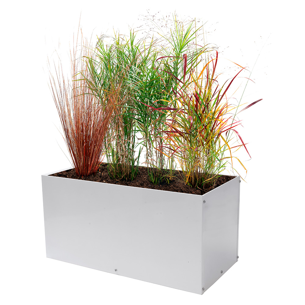 Ytterkruka Skotte Garden