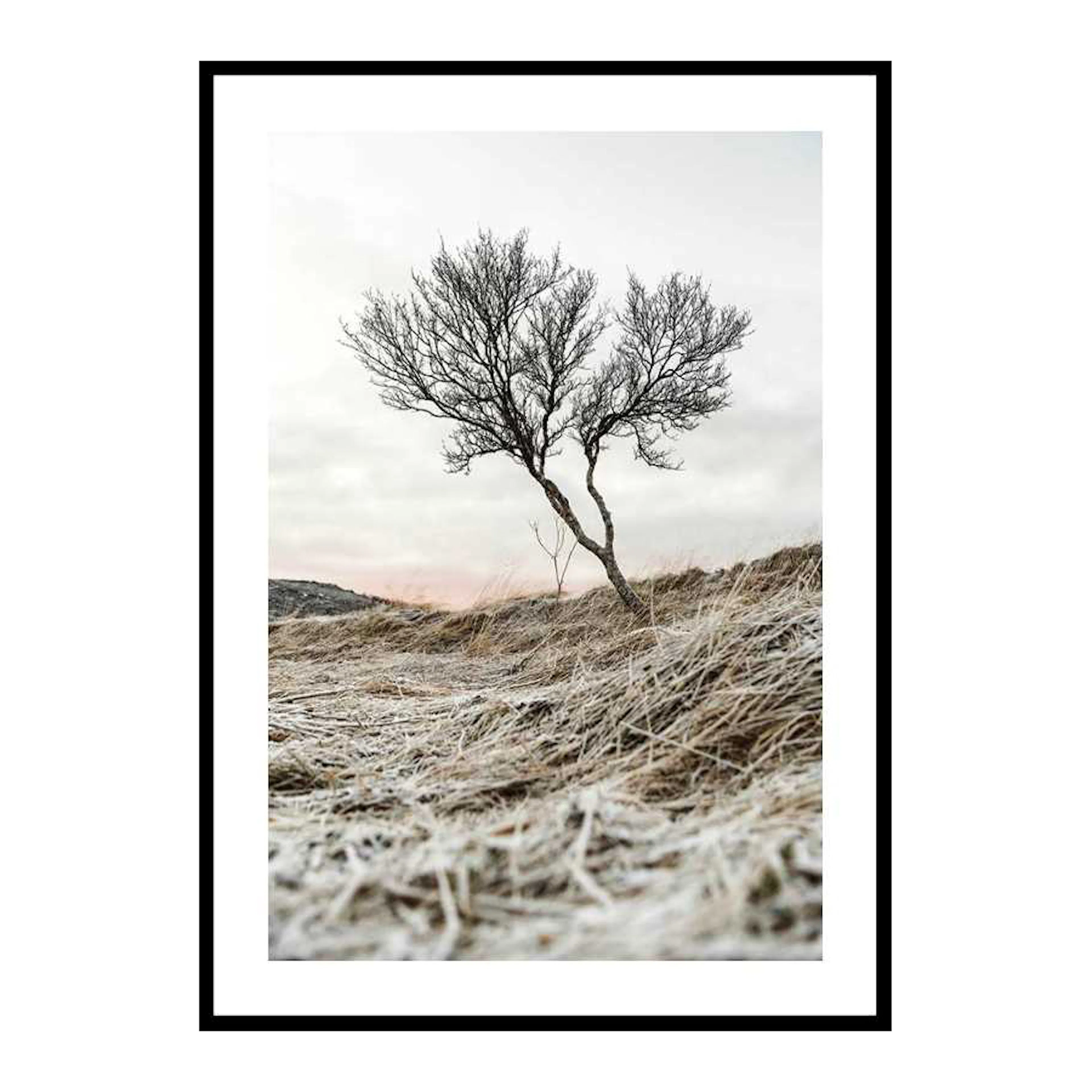 Iceland Tree 30x40 cm
