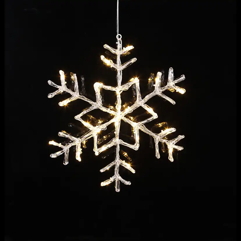 Snöflinga Star Trading Antarctica