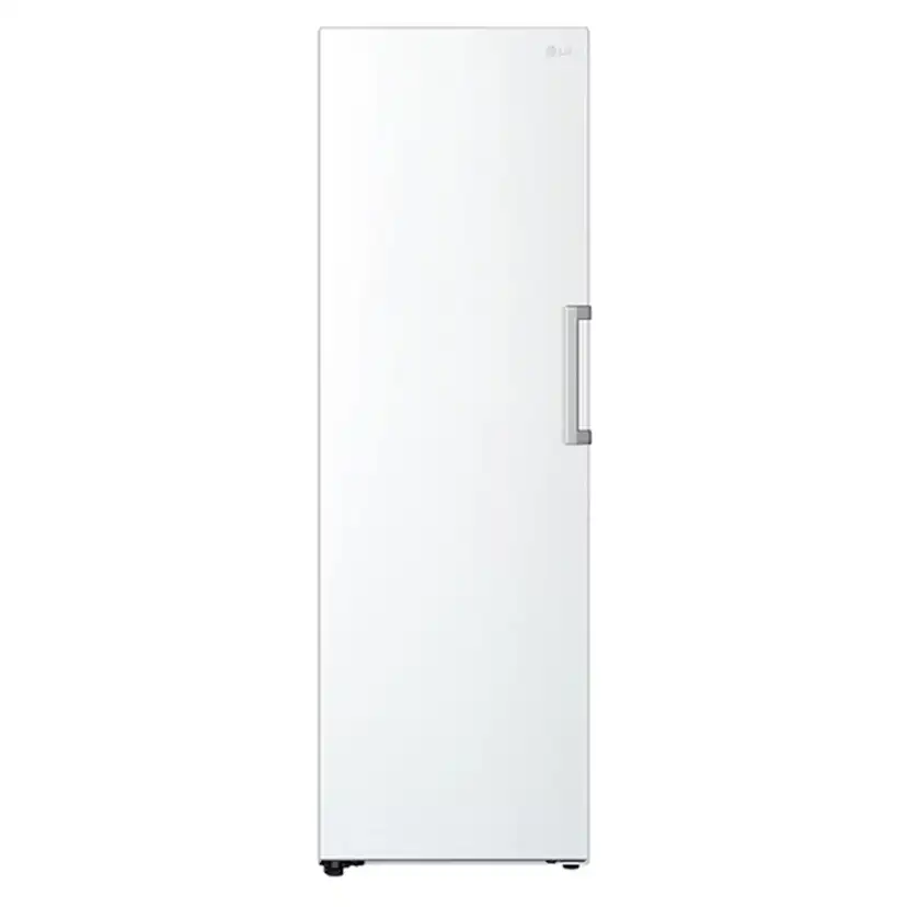 Frys LG GFT41SWGSZ