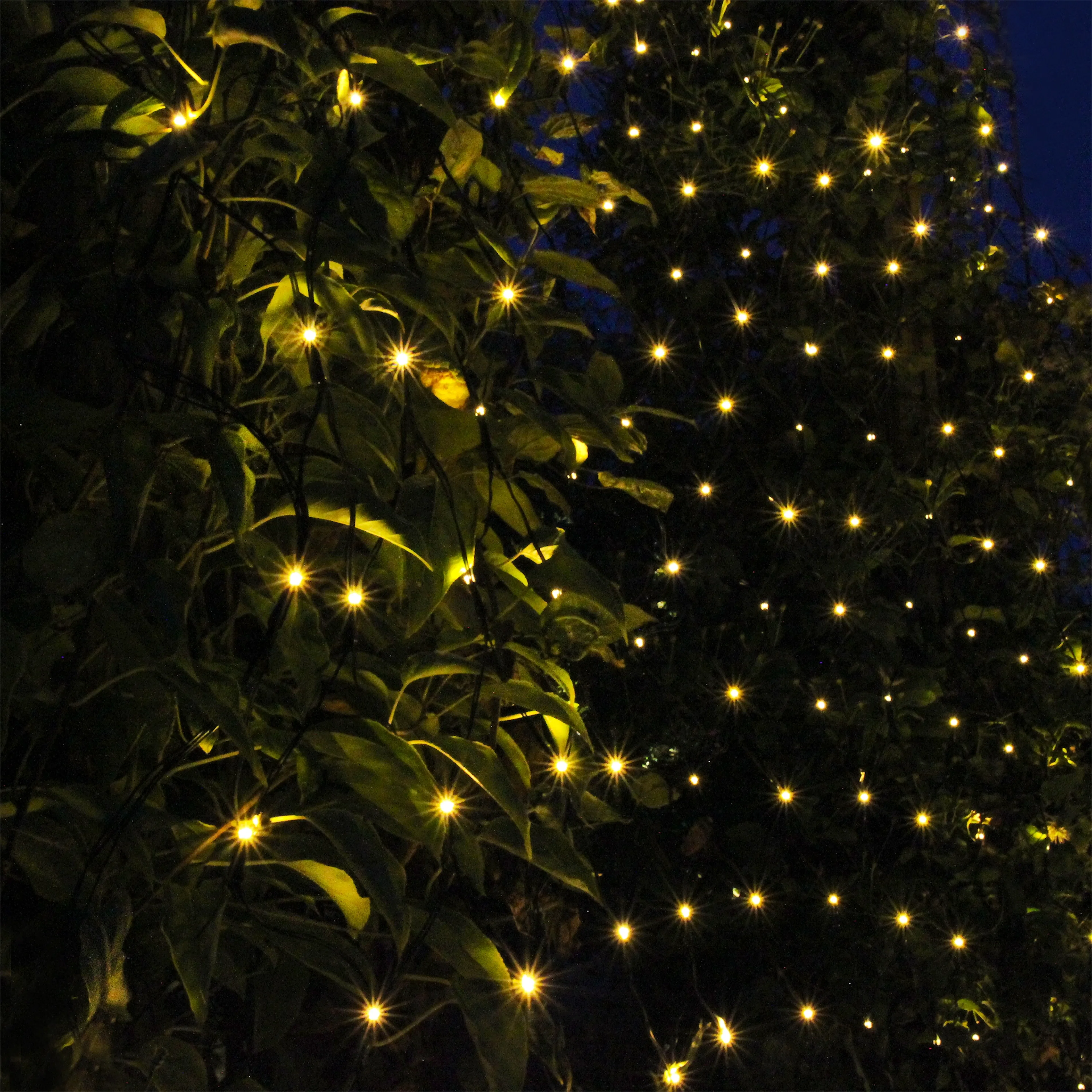 Ljusslinga LightsOn Nät, Mörkgröm
