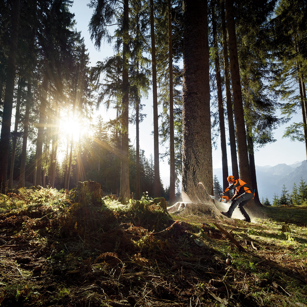 Motorsåg STIHL MS 661 C-M