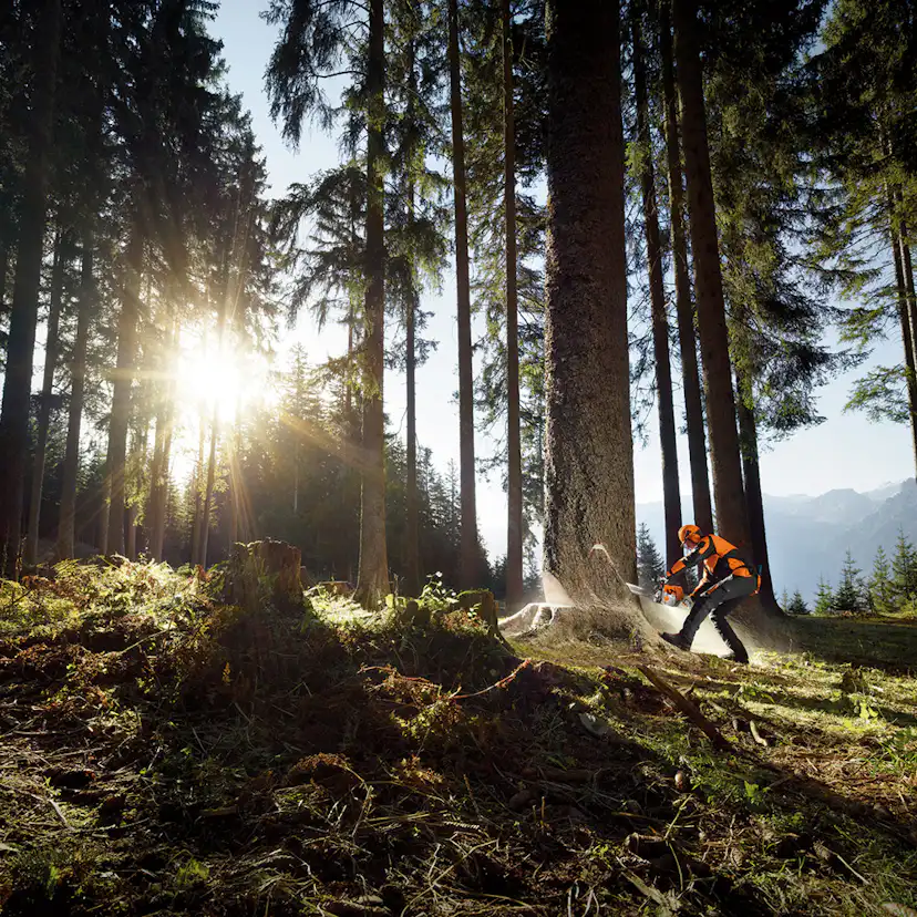 Motorsåg STIHL MS 661 C-M
