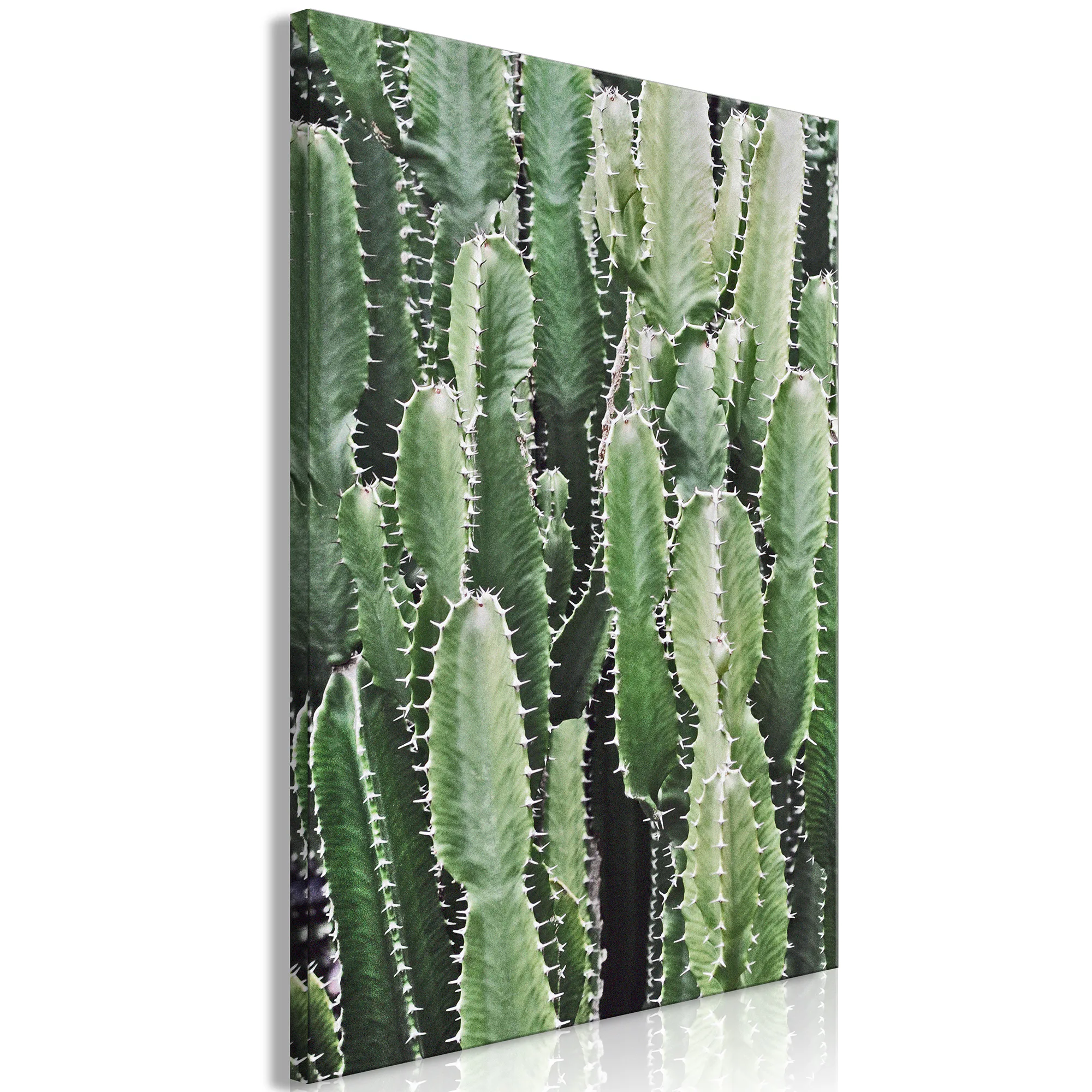 Tavla Arkiio Cactus Garden