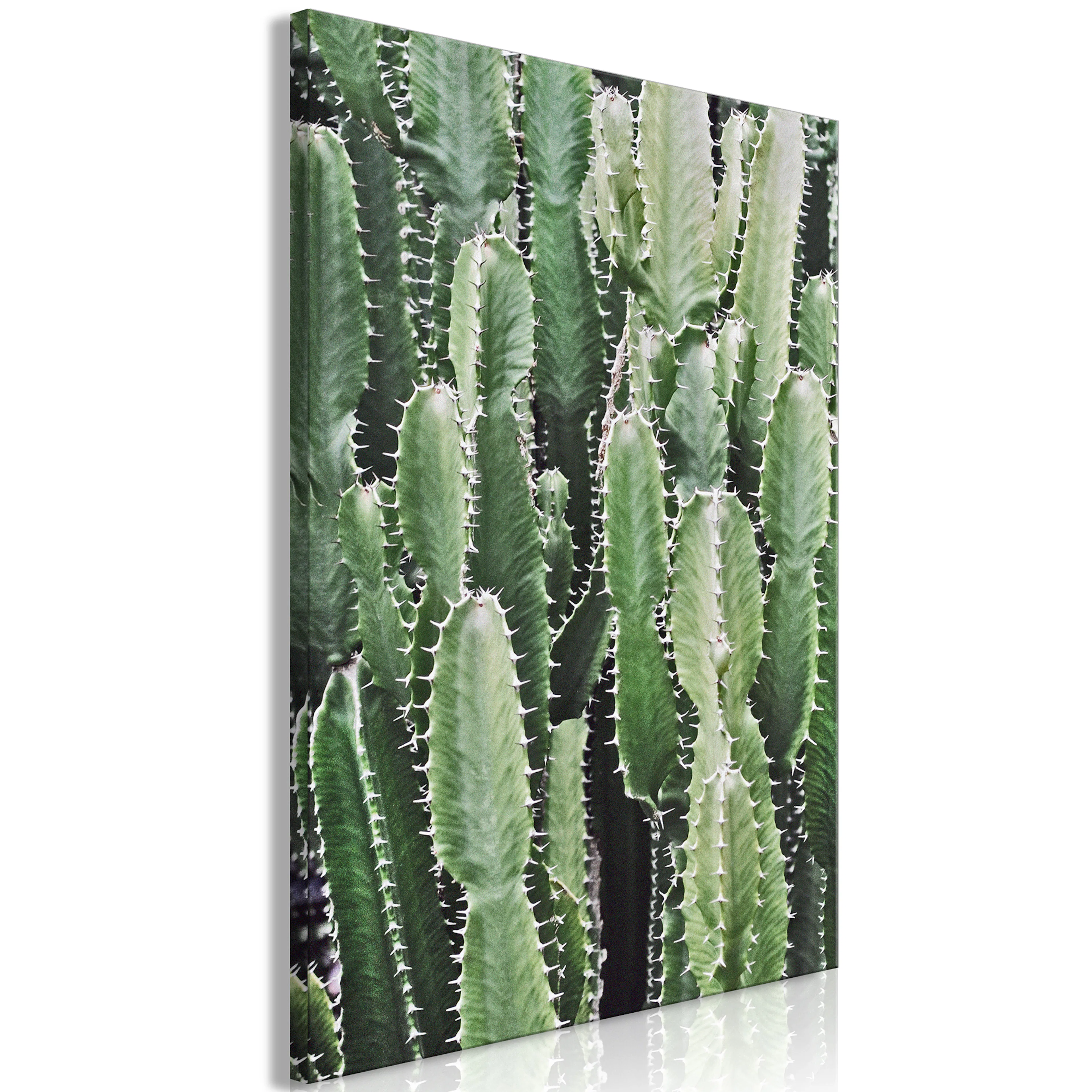 Tavla Arkiio Cactus Garden