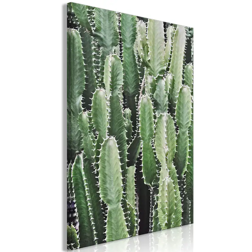 Tavla Arkiio Cactus Garden