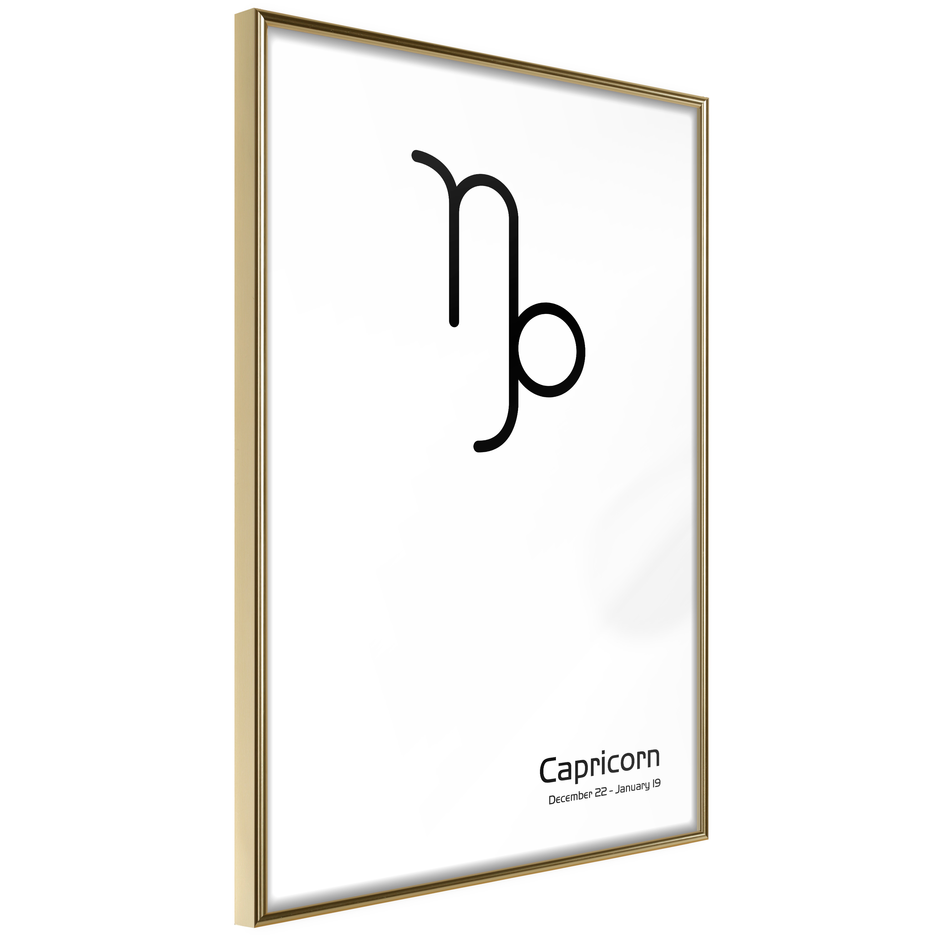 Poster Artgeist Affisch Capricorn
