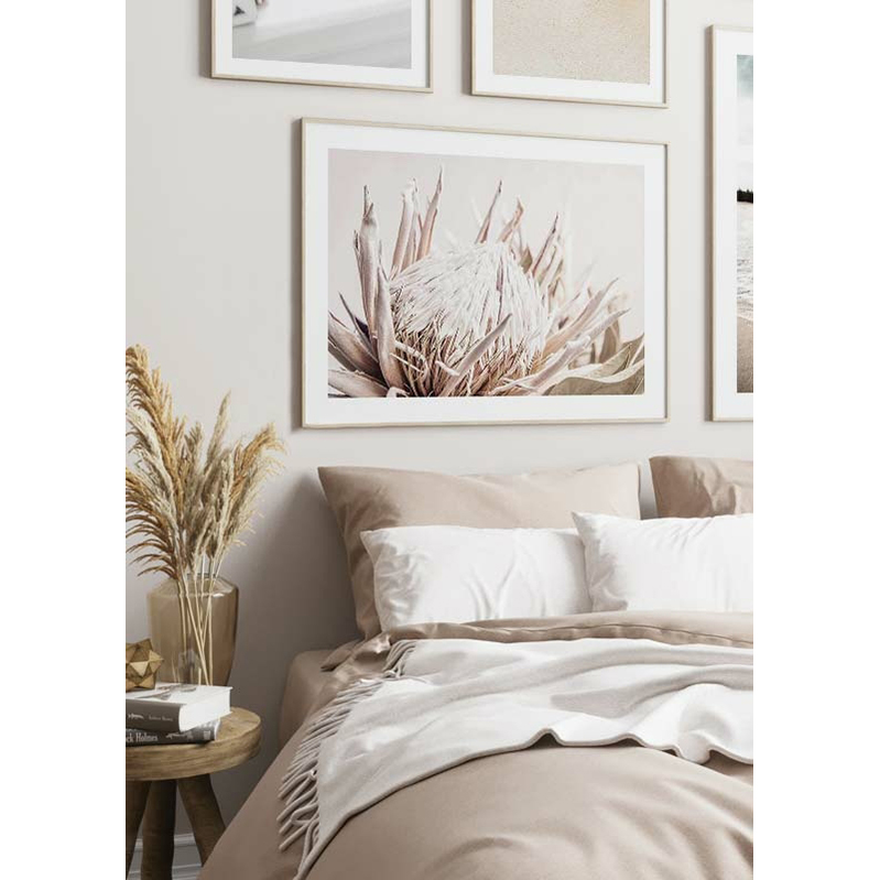 Poster Gallerix Protea Flower No1