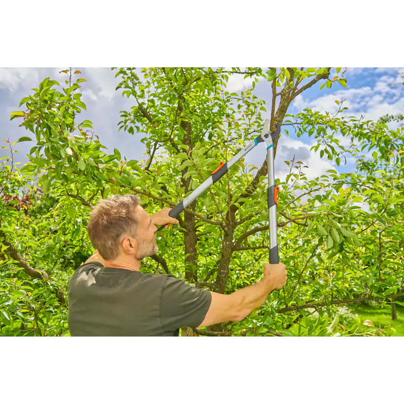 Grensax Gardena TeleCut Basic Teleskopisk