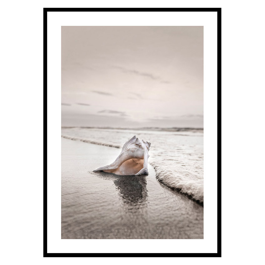 Poster Gallerix Shell On Beach