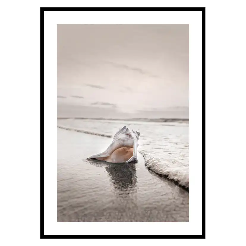 Poster Gallerix Shell On Beach