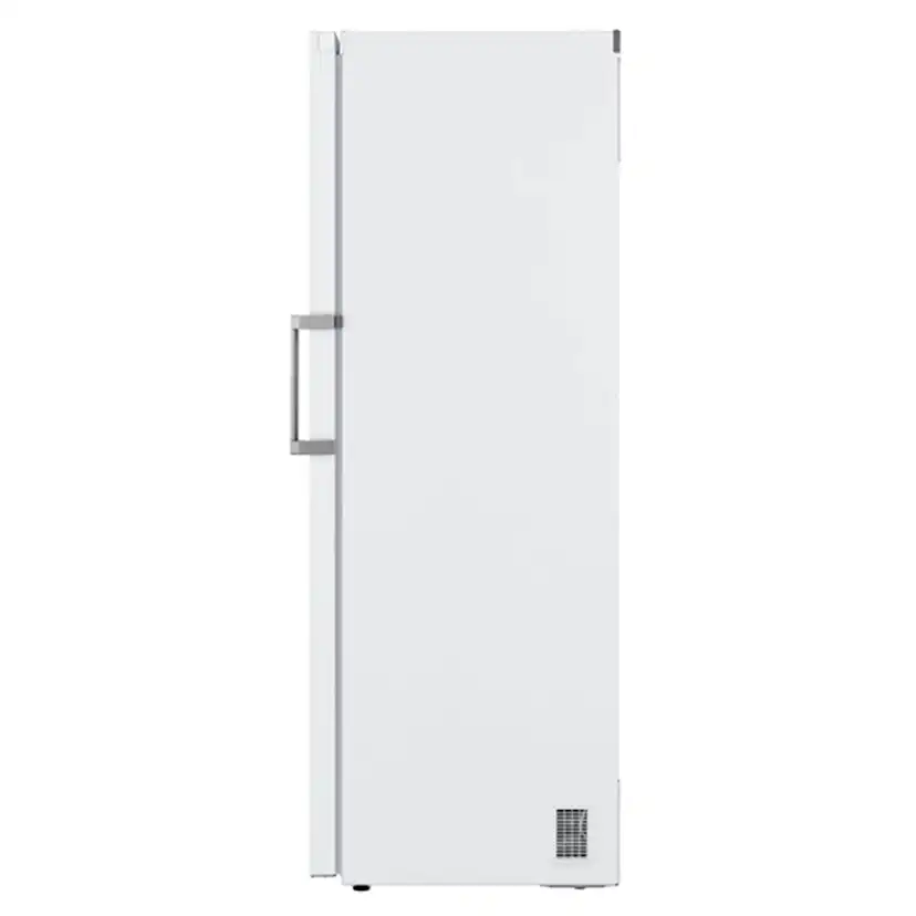 Frys LG GFT41SWGSZ
