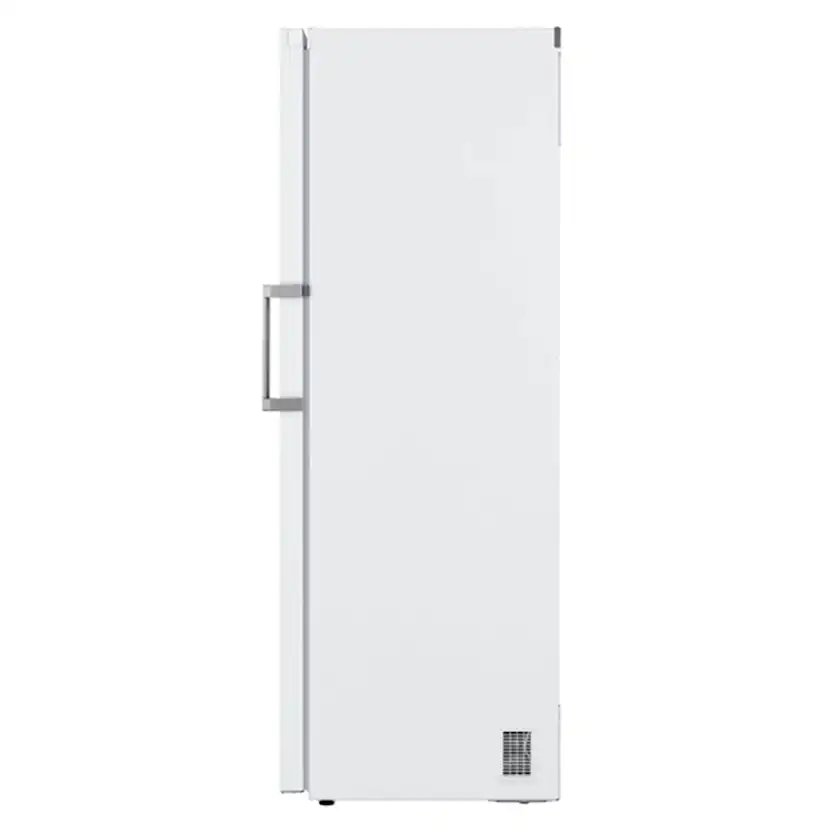Frys LG GFT41SWGSZ