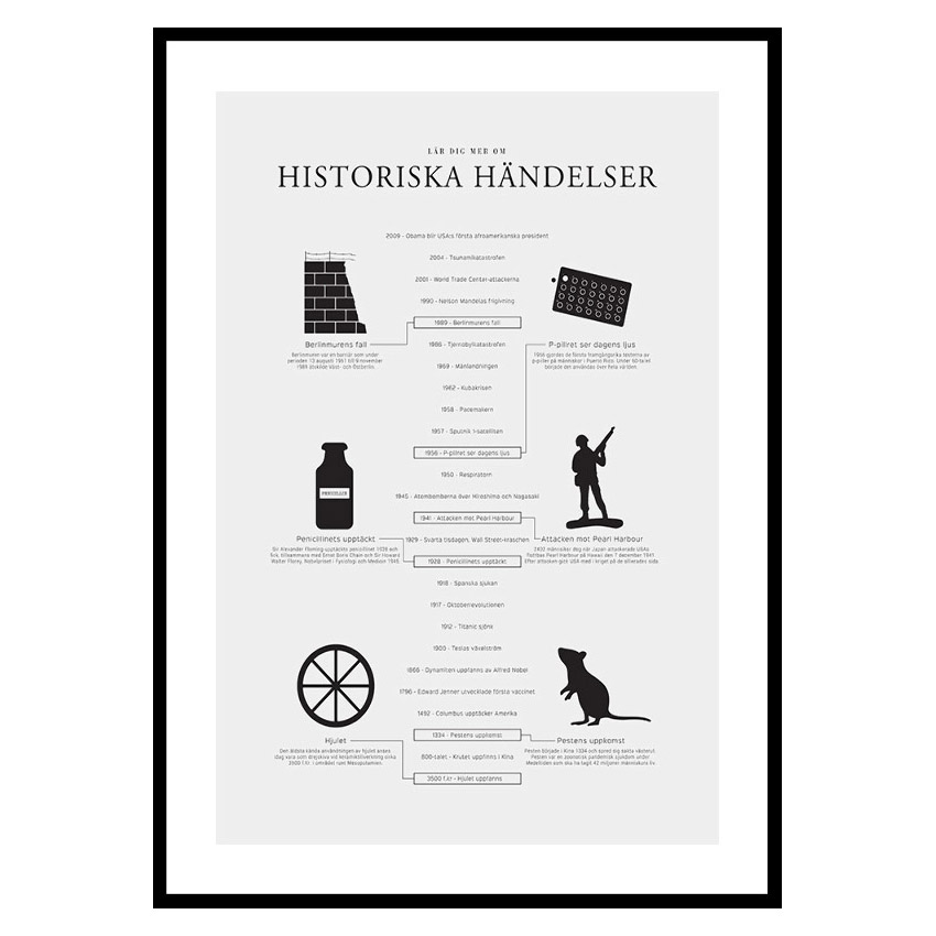 Poster Gallerix Historiska Händelser