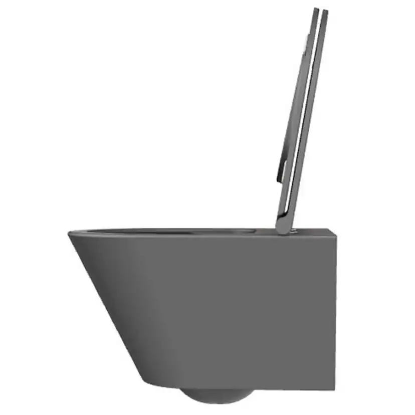 Forma Vägghängd Toalettstol, Anthracite