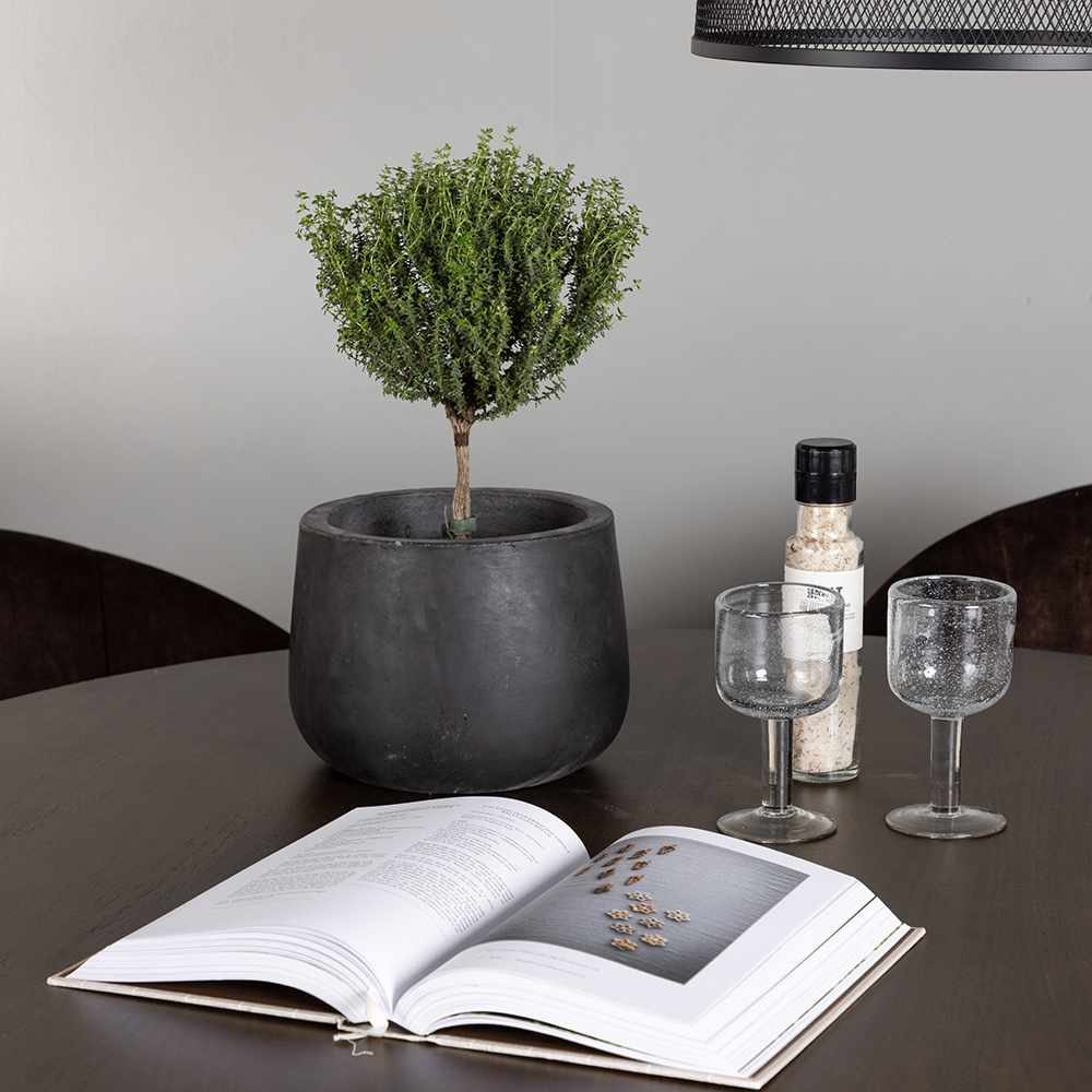 Matgrupp Venture Home Kaseidon Ø100 cm med 4 st Evening stolar