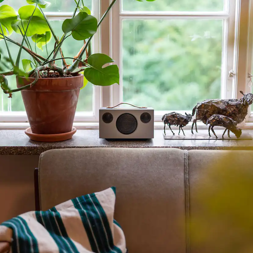 Högtalare Audio Pro C3