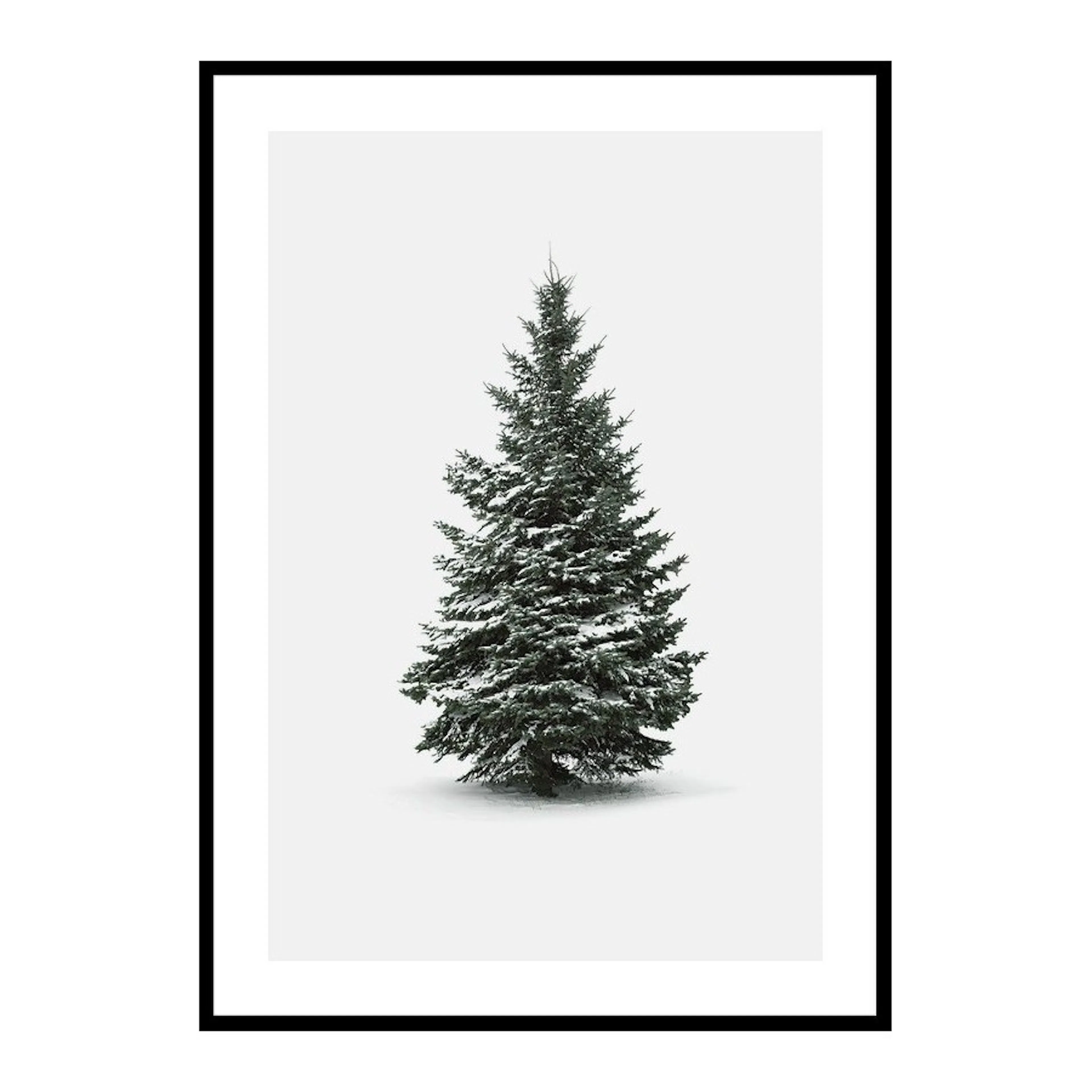 Poster Gallerix Winter Botany No4