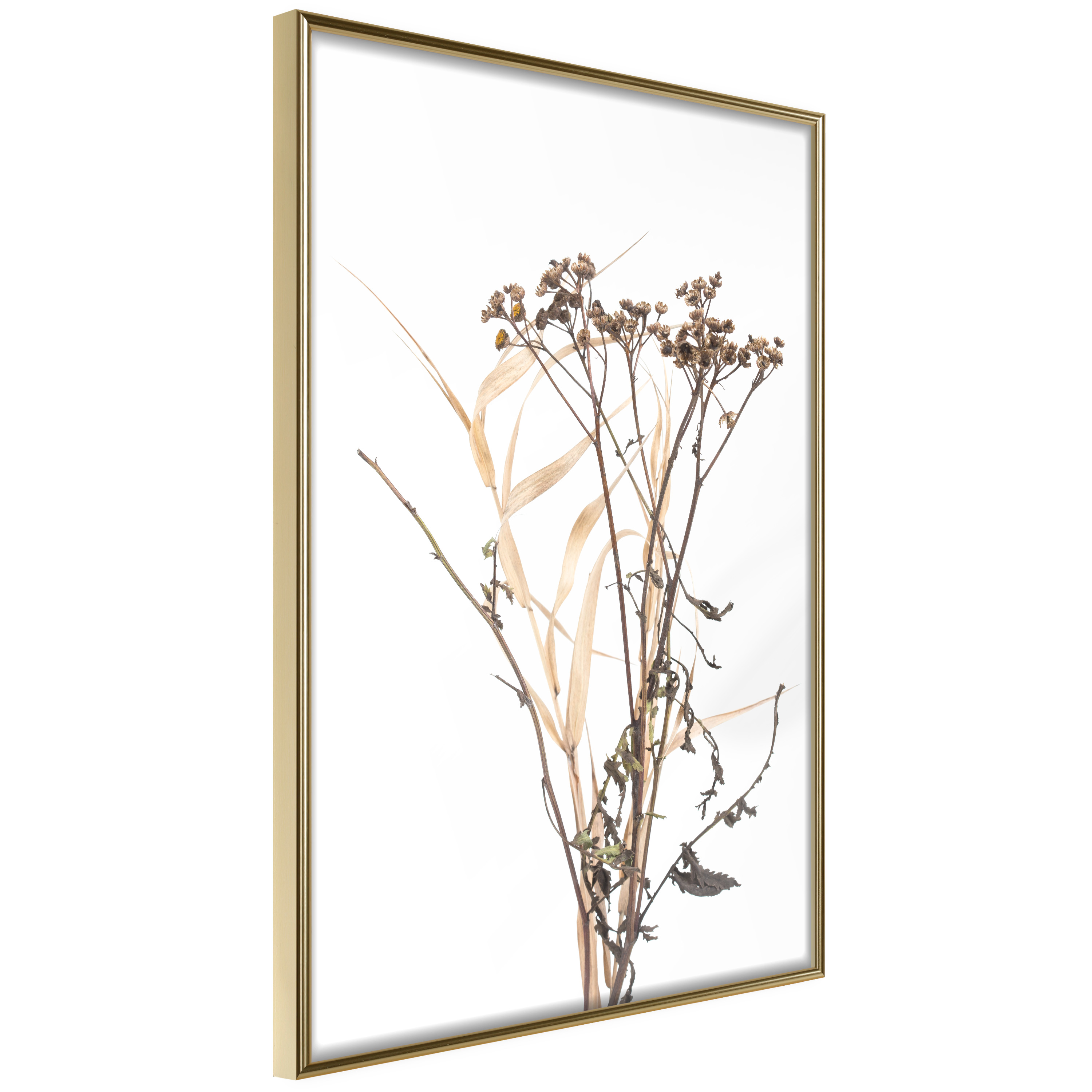 Poster Artgeist Affisch Camomile