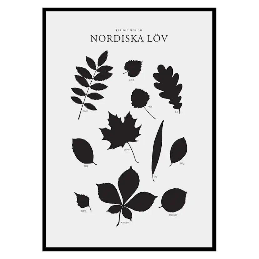 Poster Gallerix Nordiska Löv