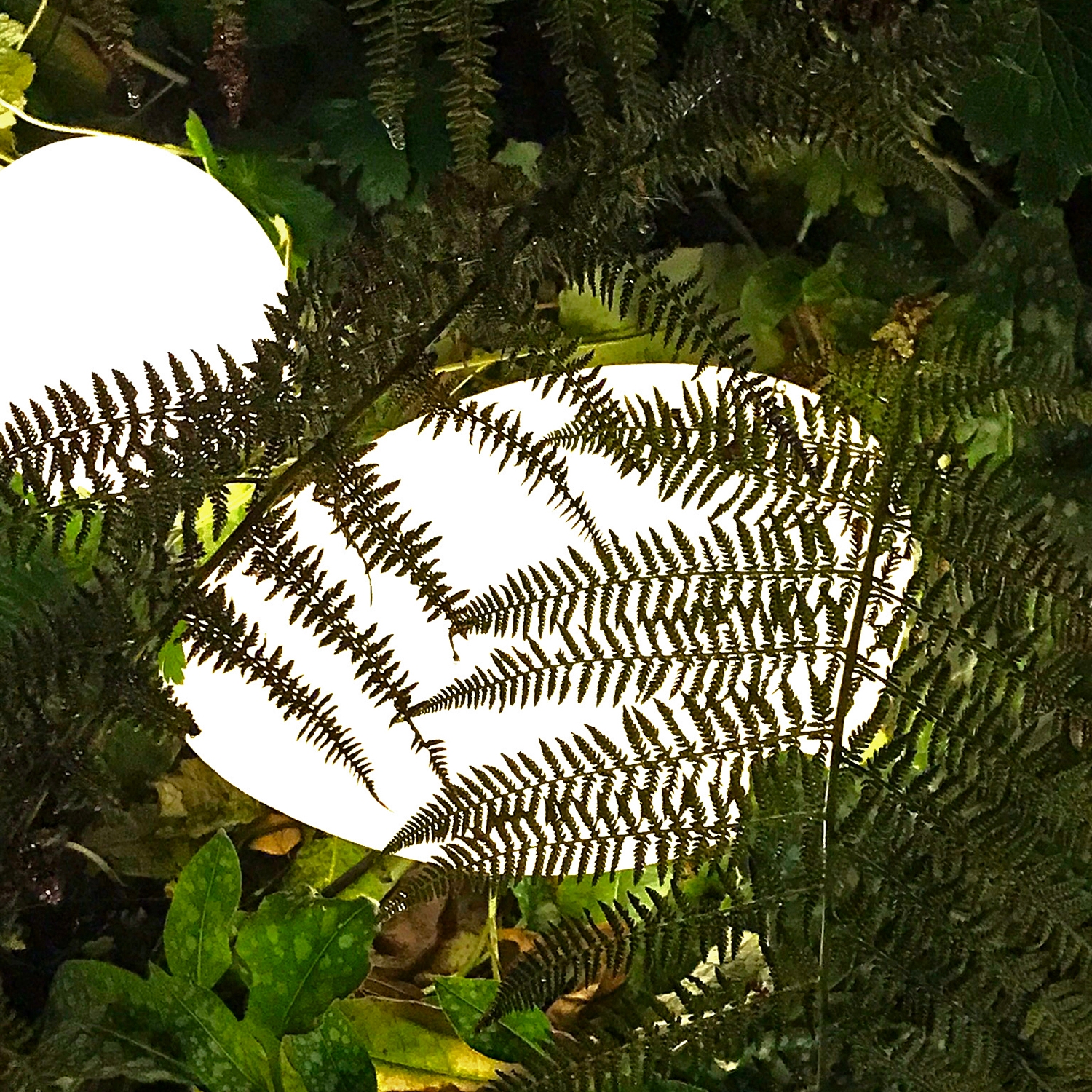 Dekorationsbelysning Lightson Stone