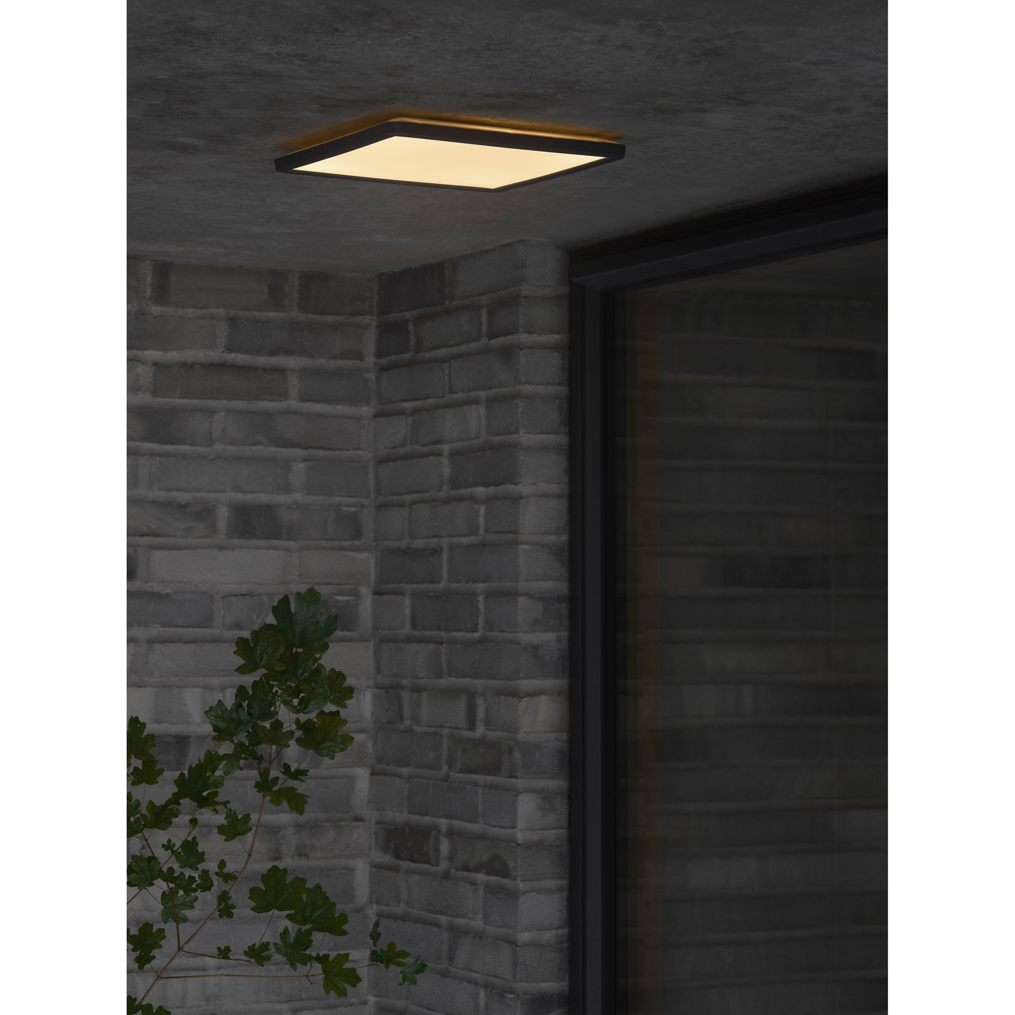 Plafond Nordlux Oja 29 Utebelysning IP54