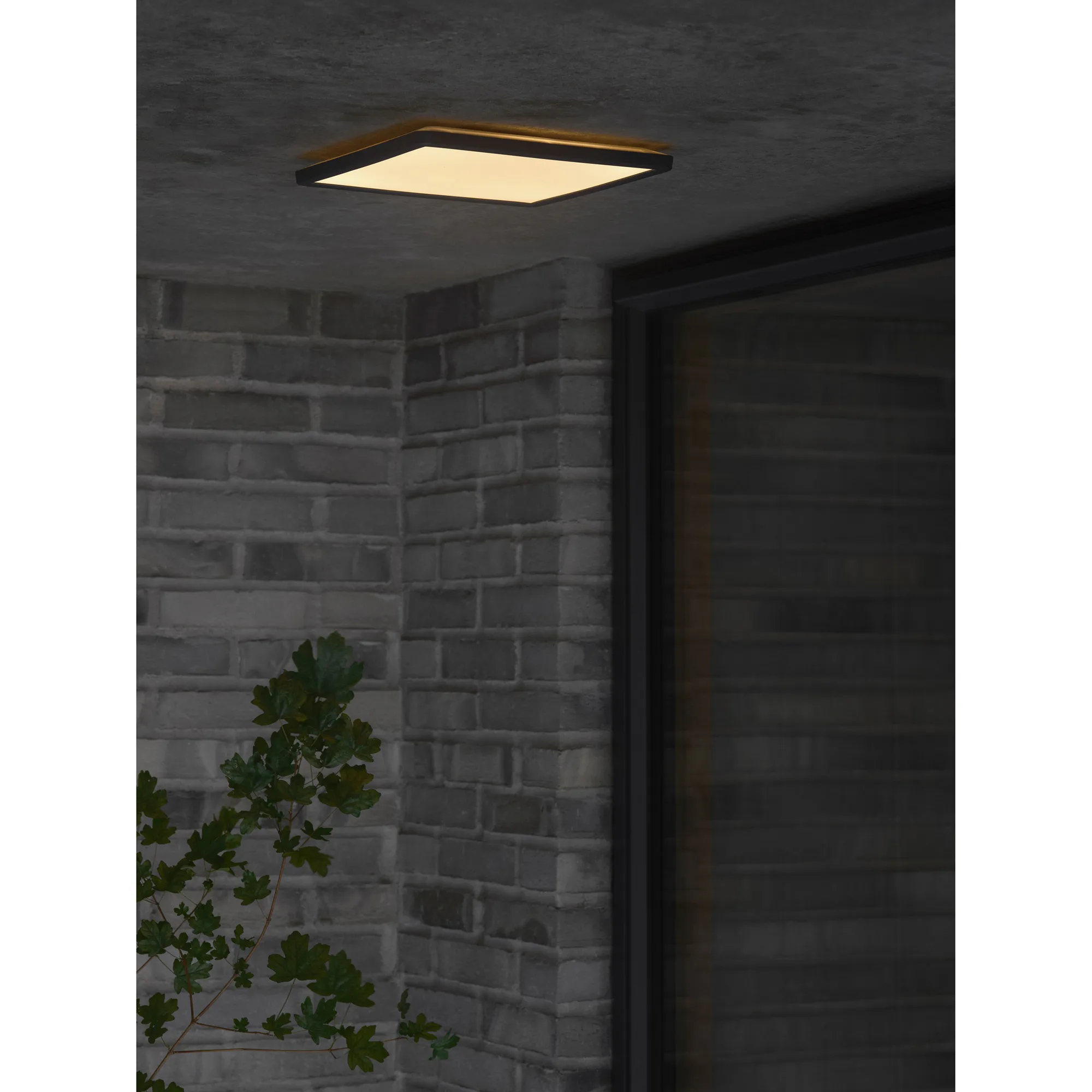 Plafond Nordlux Oja 29 Utebelysning IP54