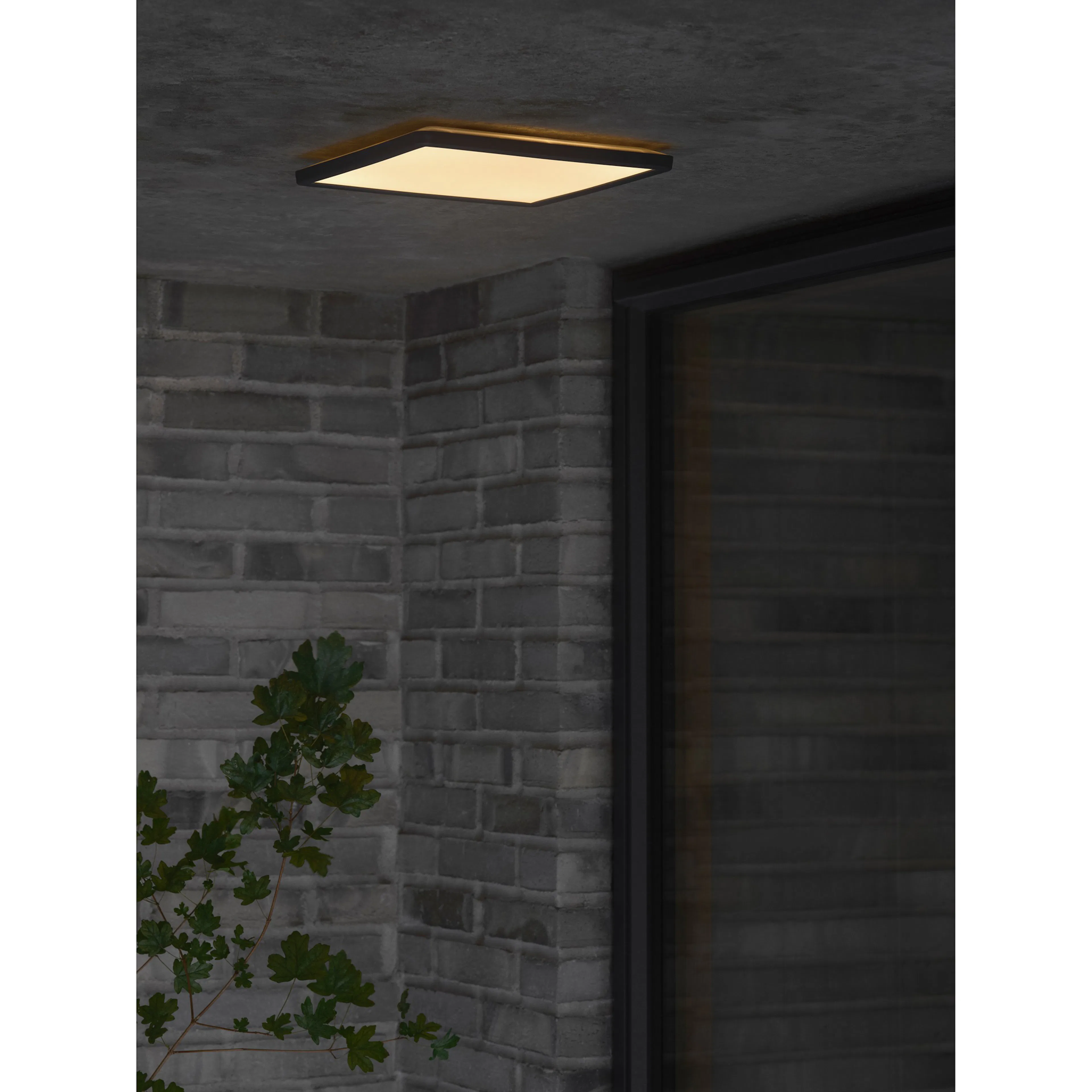 Plafond Nordlux Oja 29 Utebelysning IP54