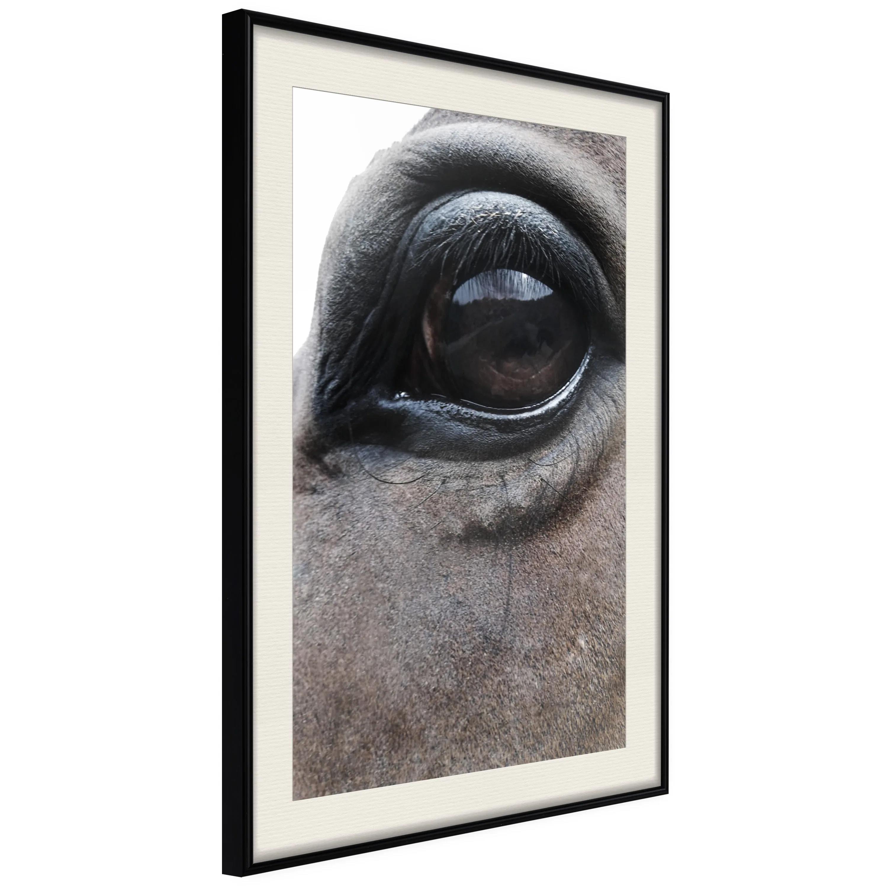 Poster Artgeist Affisch Honest Eyes