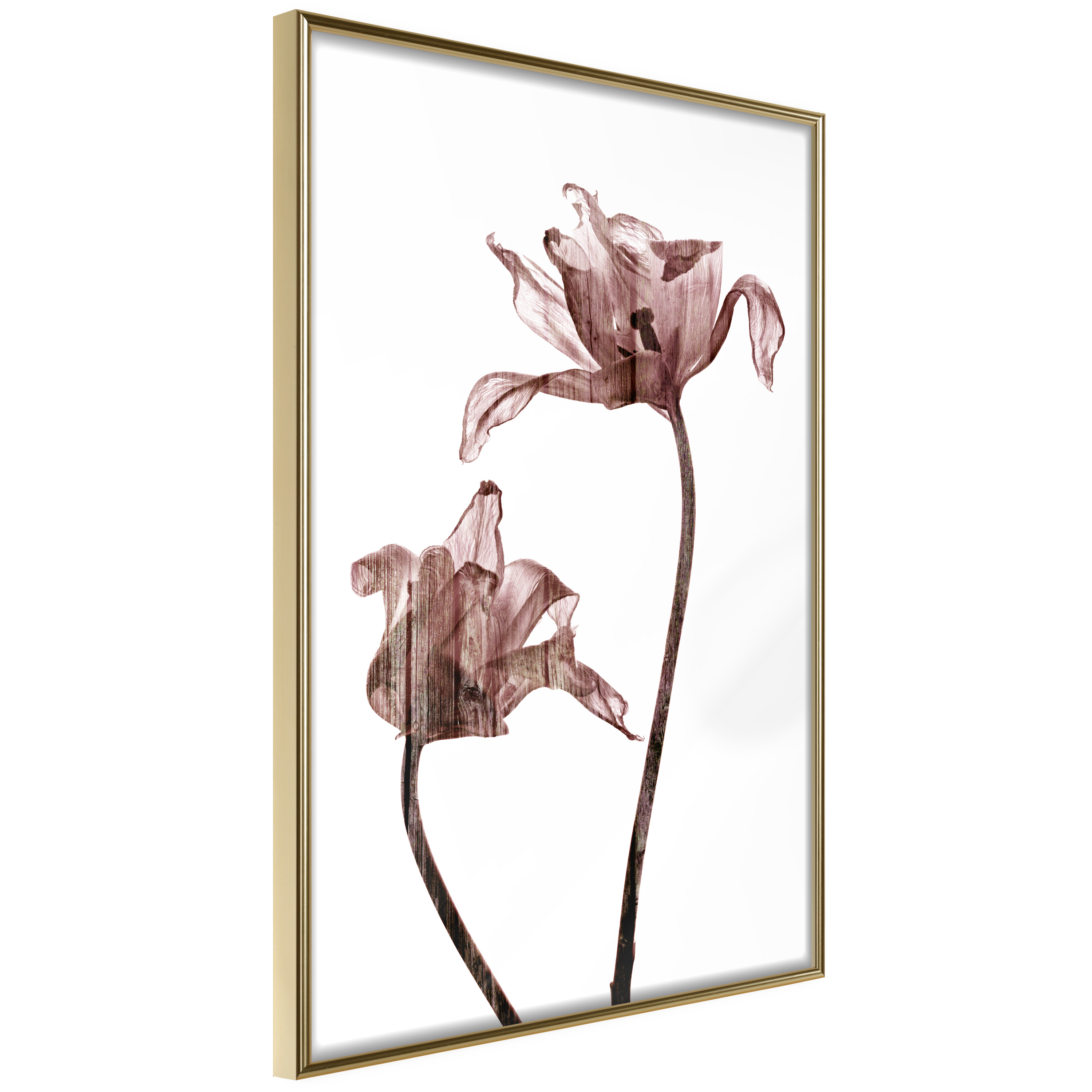 Affisch - Illuminated Closeness [Poster] 30x45 Guld ram, 30x45 cm