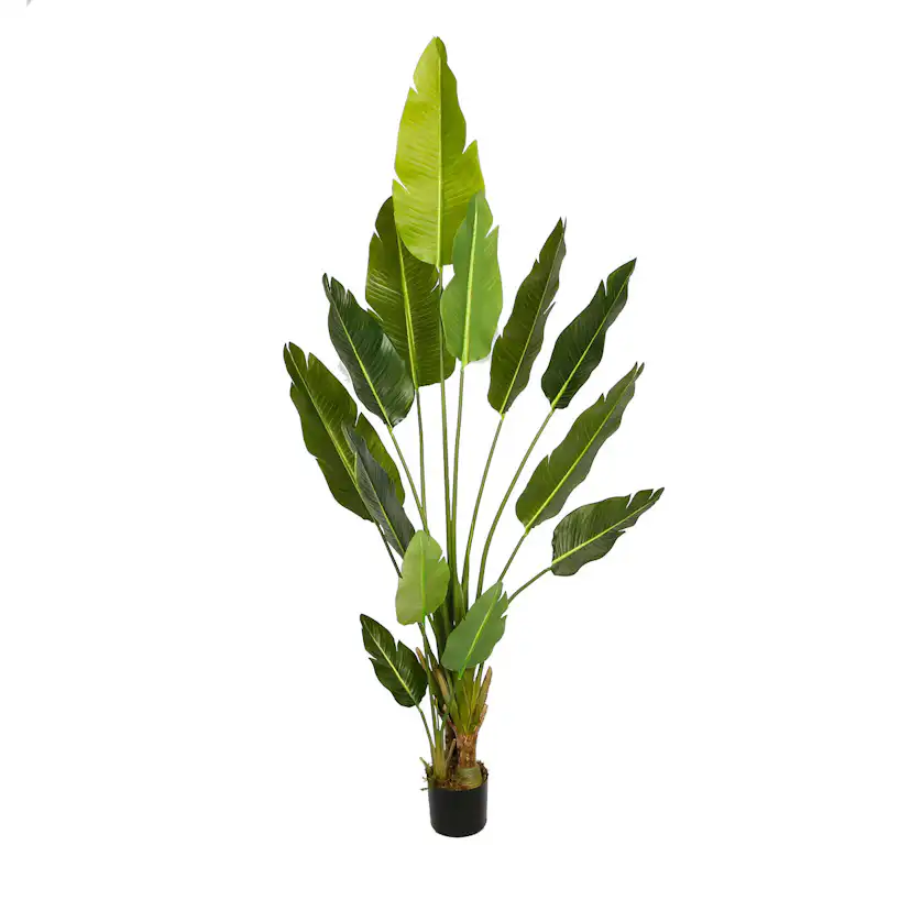 Konstväxt Lykke Bird of Paradise