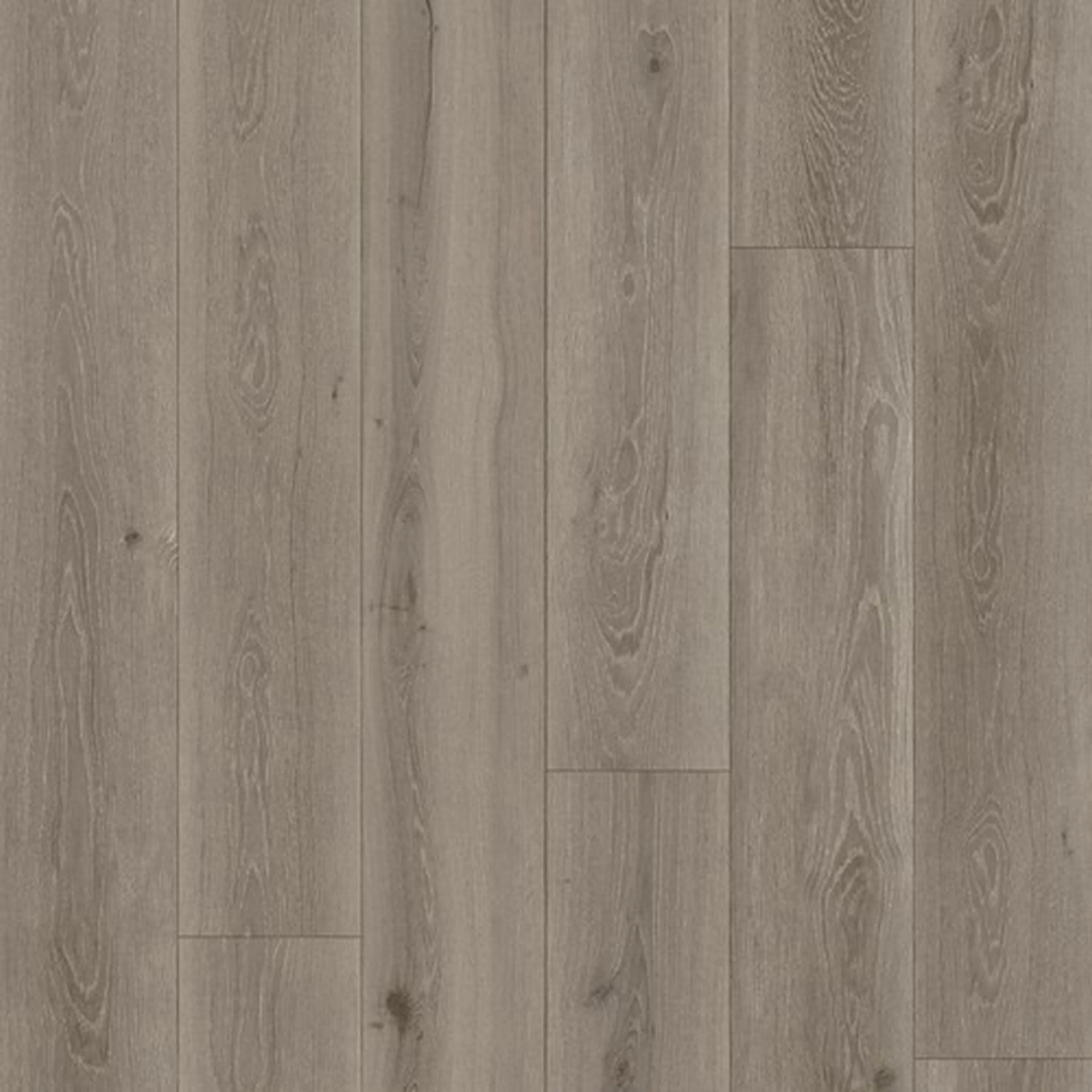 VINYLGOLV Tarkett 200-ICONIK 240-MILLOAK-GREY Bredd: 2000 mm