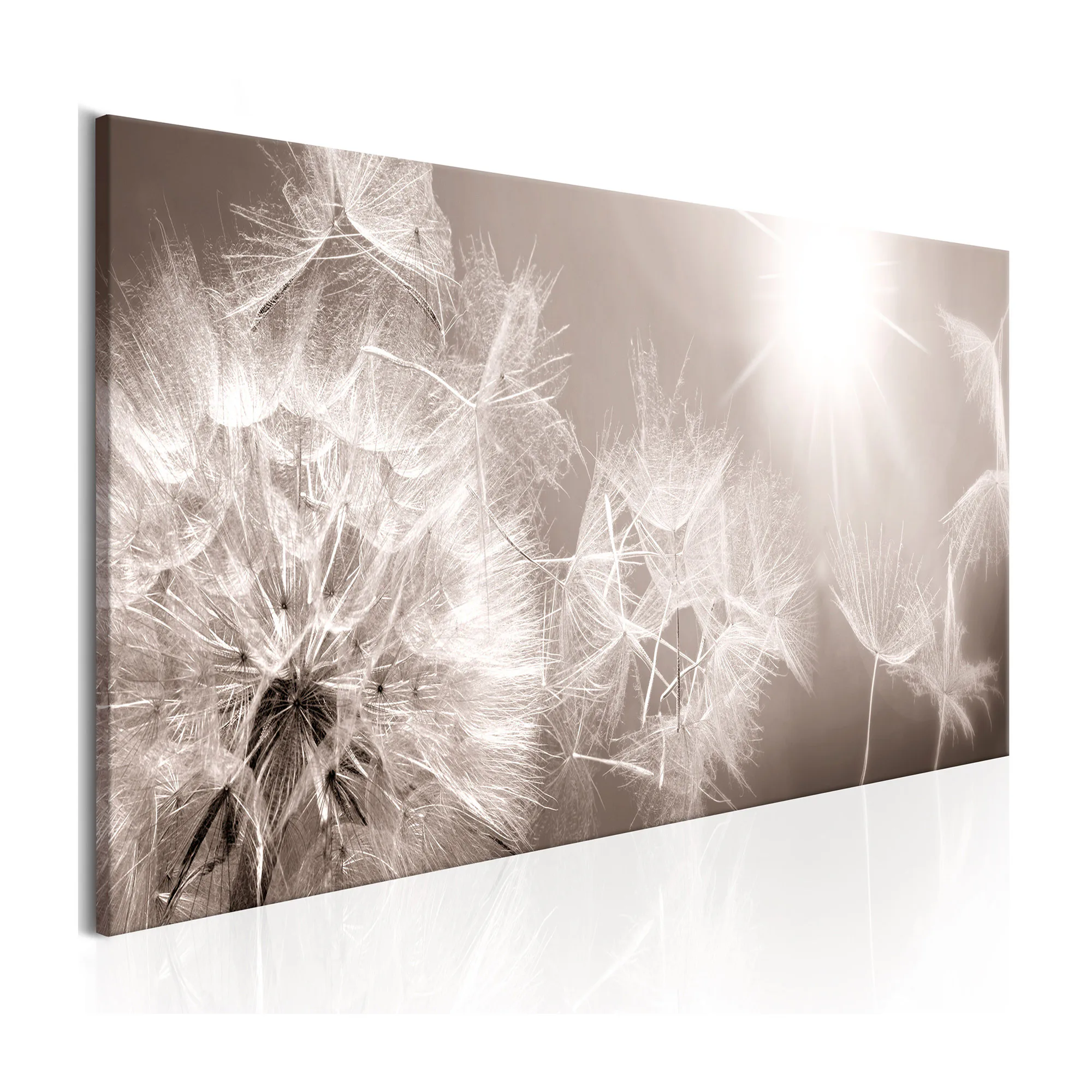 Tavla Arkiio Summer Dandelions