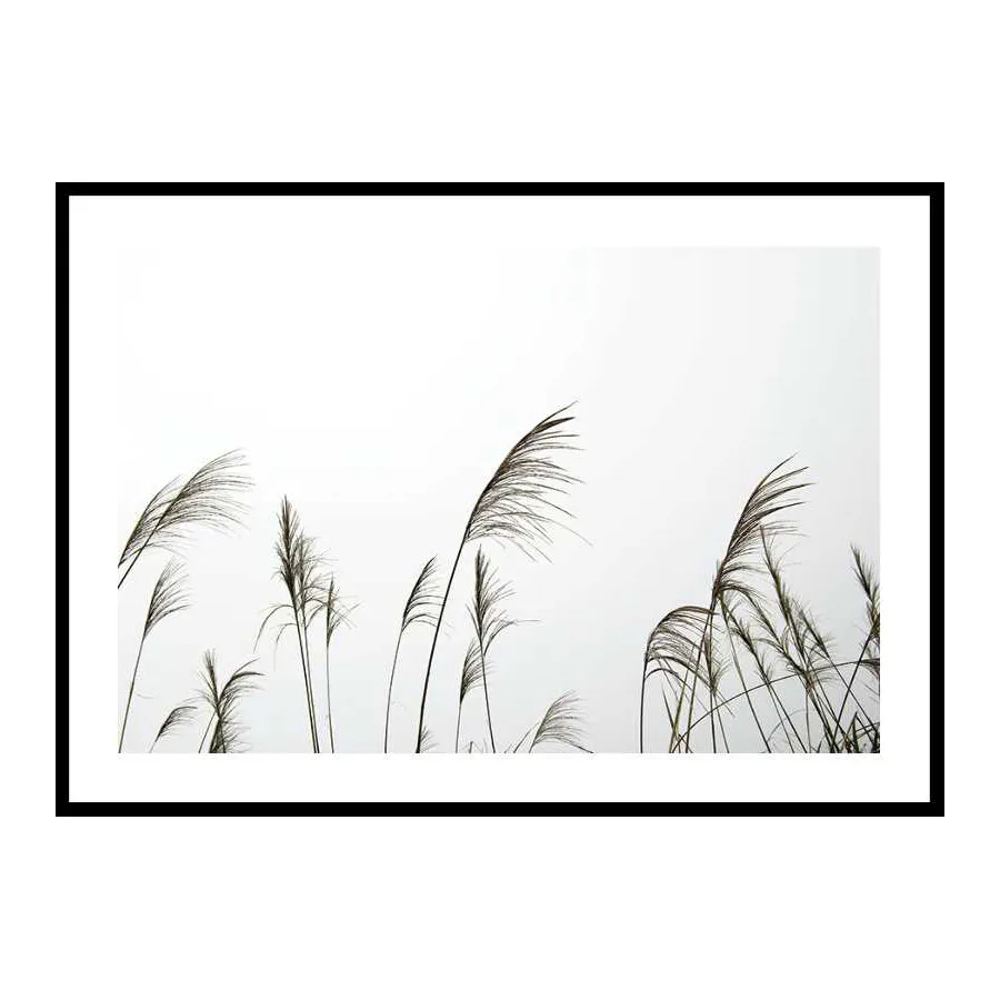 Poster Gallerix Reed Flowers