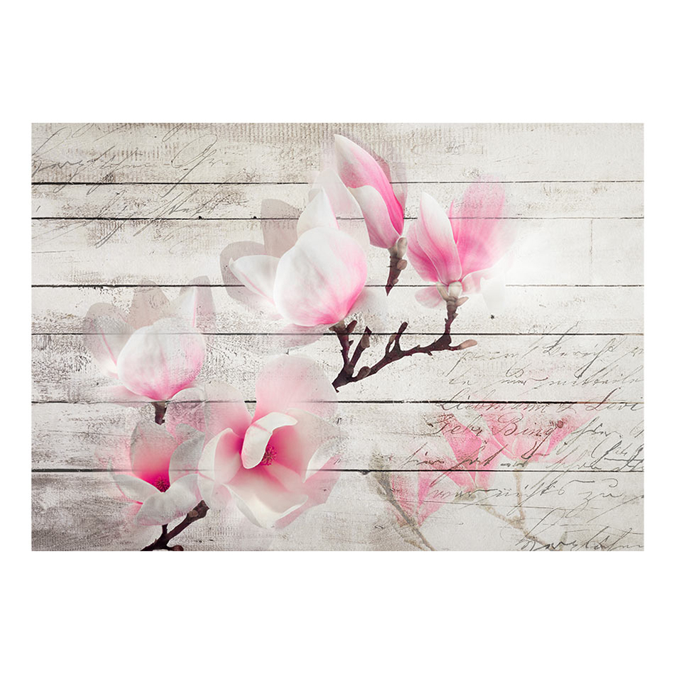 Fototapet Arkiio Gentleness Of The Magnolia