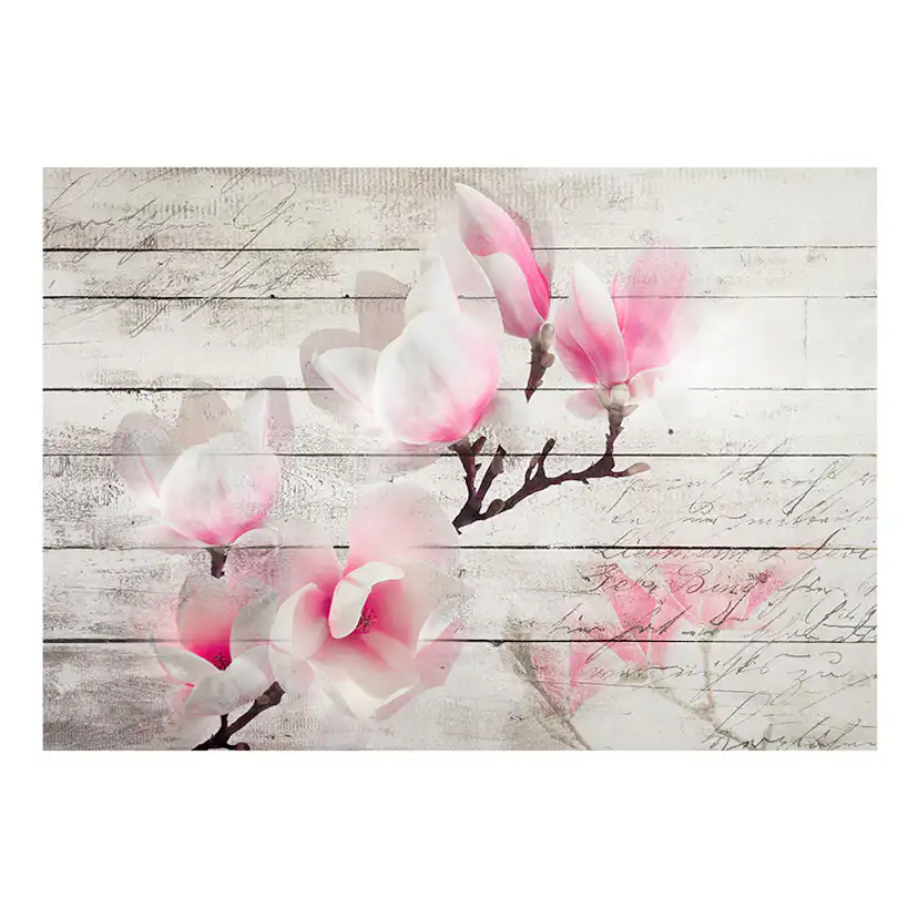 Gentleness of the Magnolia 100x70 Storlek: 100x70 cm