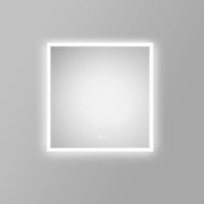 Alt Bliss Spegel F 450X700 Bredd: 450 mm