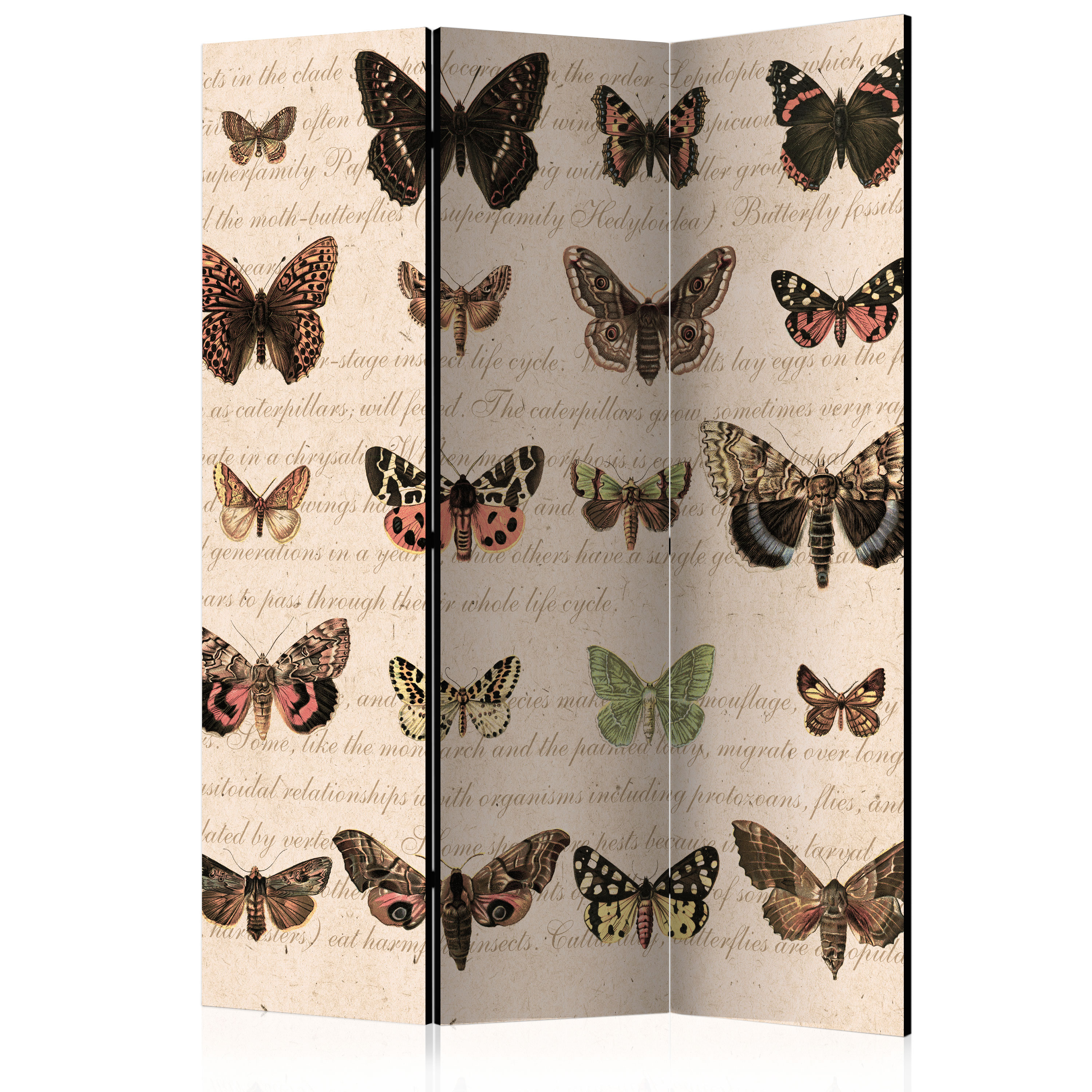 Rumsavdelare Skärmvägg Arkiio Retro Style: Butterflies 135x172 cm