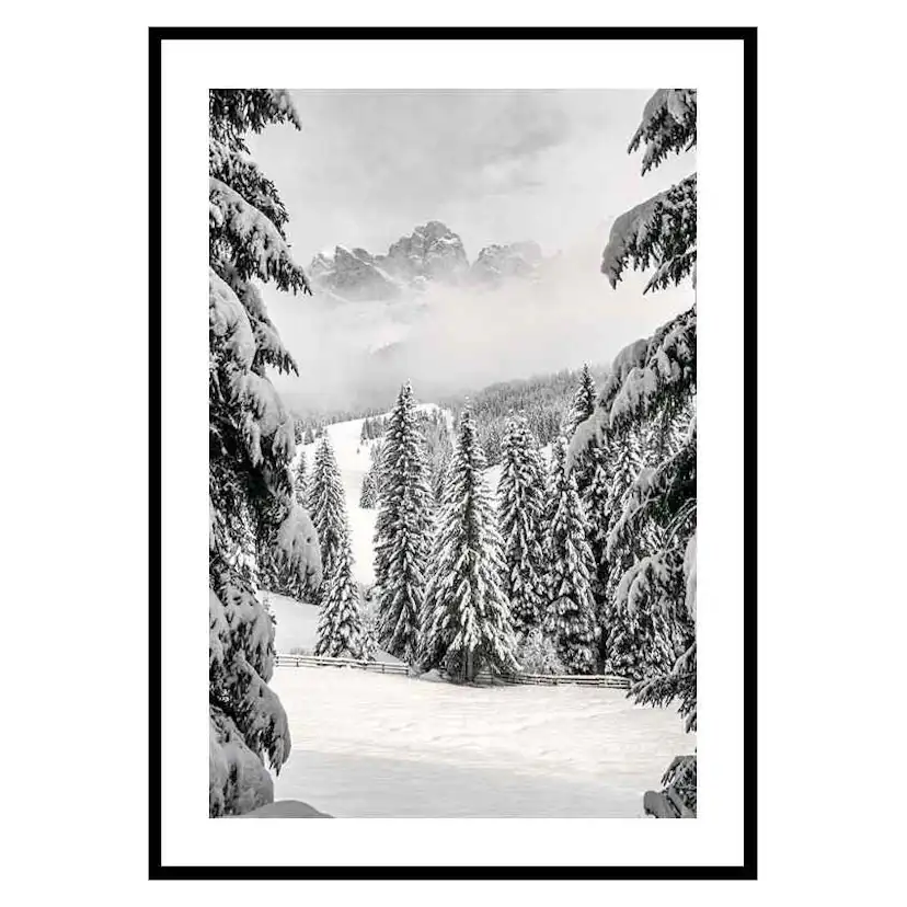 Poster Gallerix Between Spruces