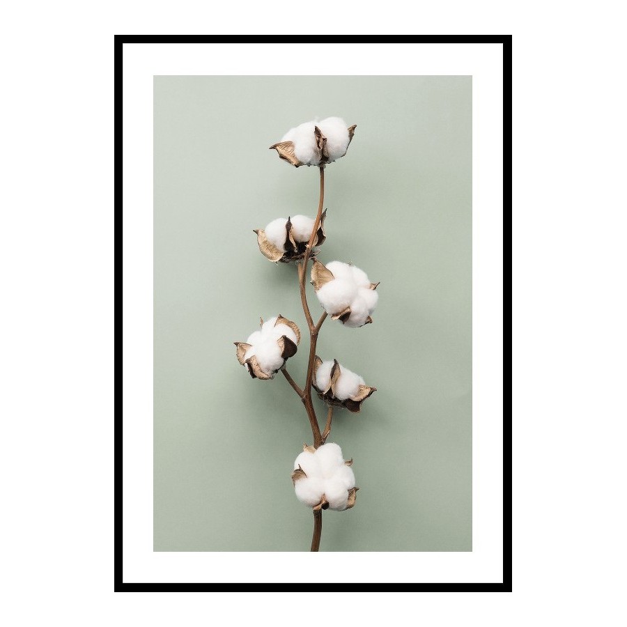 Poster Gallerix Cotton On Green