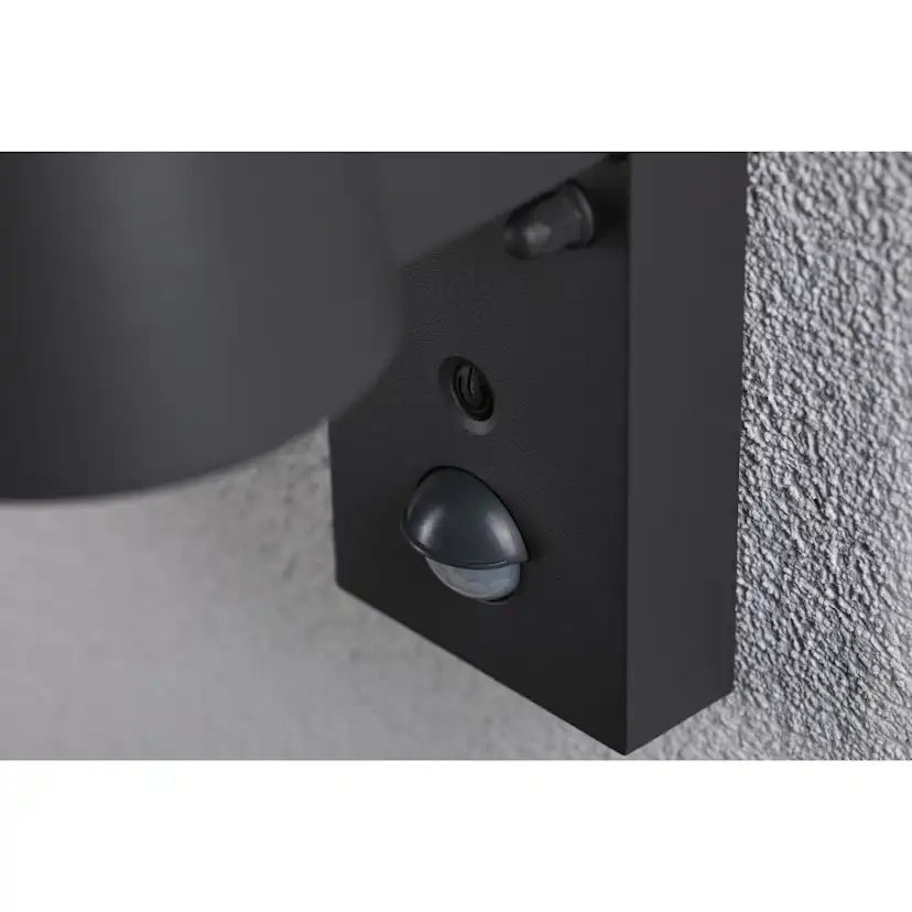 Fasadbelysning LED Paulmann Capea IP44 230V Design: med Skymningsstyrd Rörelsedetektor, Ljus: Gold Light (insektsvänlig)