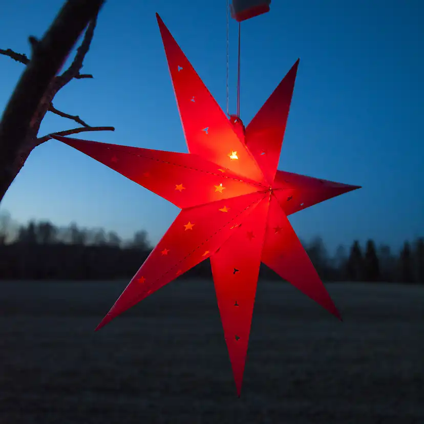 Adventsstjärna Star Trading Alice