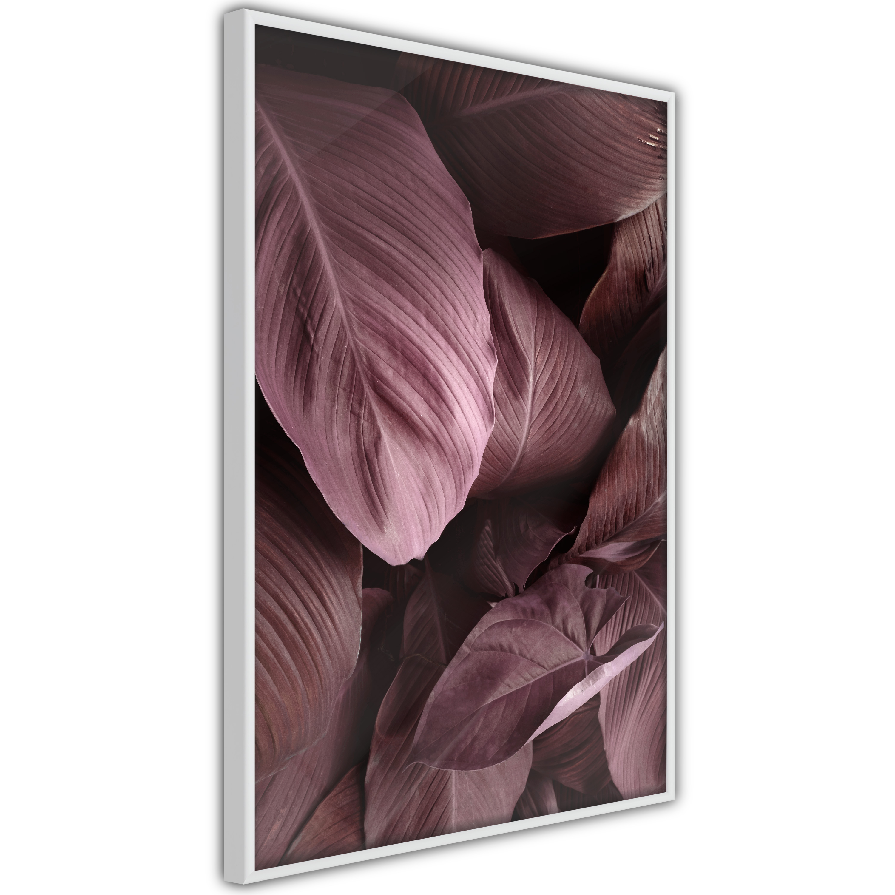 Poster Artgeist Affisch Velvet Leaves