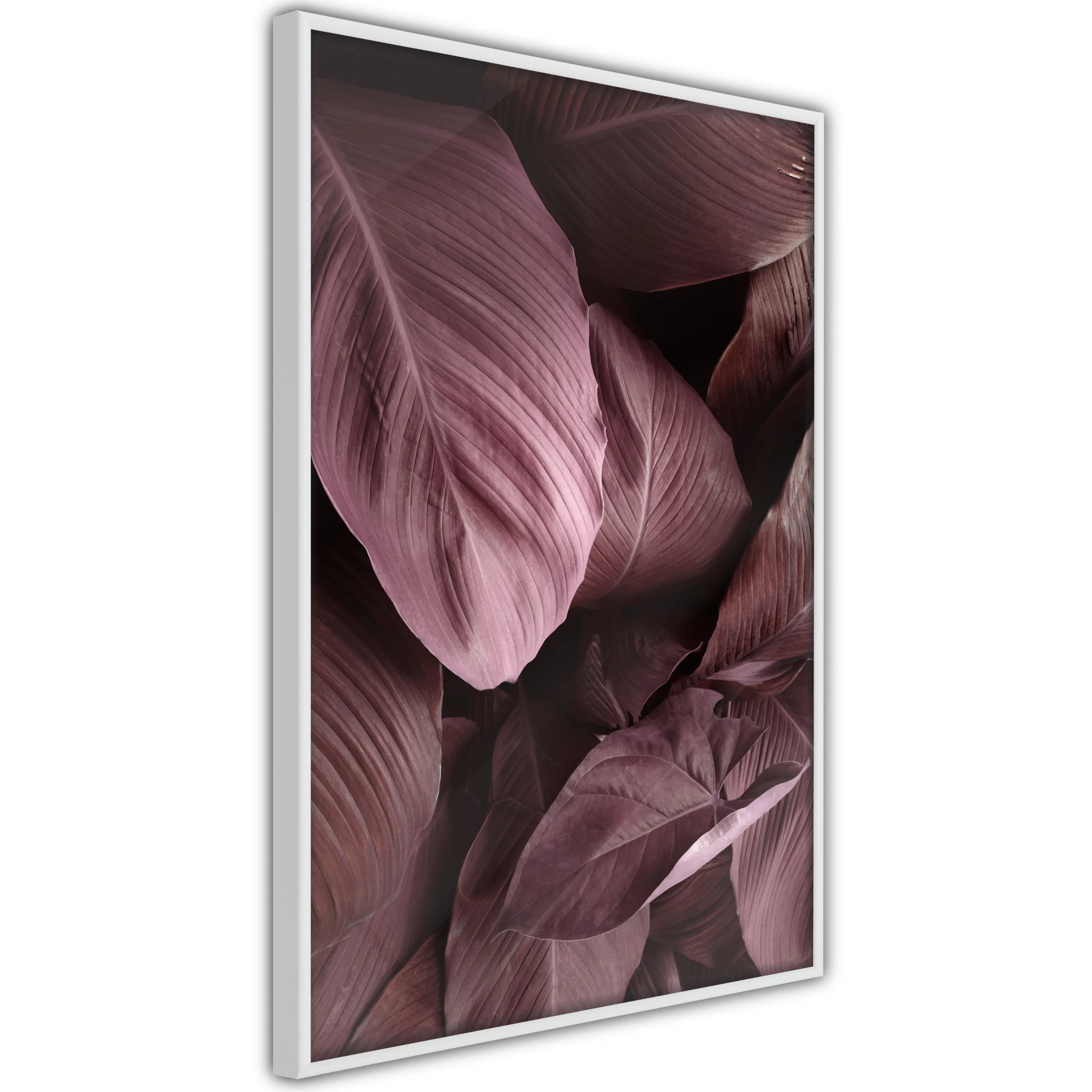 Poster Artgeist Affisch Velvet Leaves