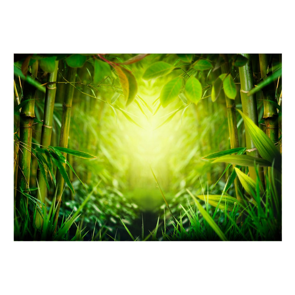 Fototapet Arkiio Självhäftande Forest Fairy