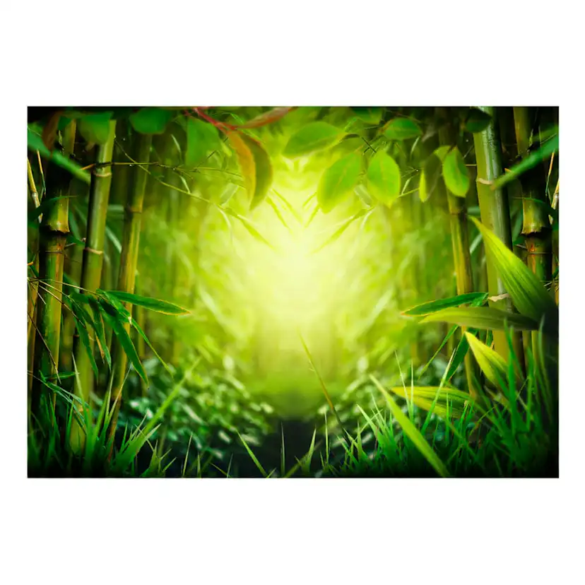Fototapet Arkiio Självhäftande Forest Fairy