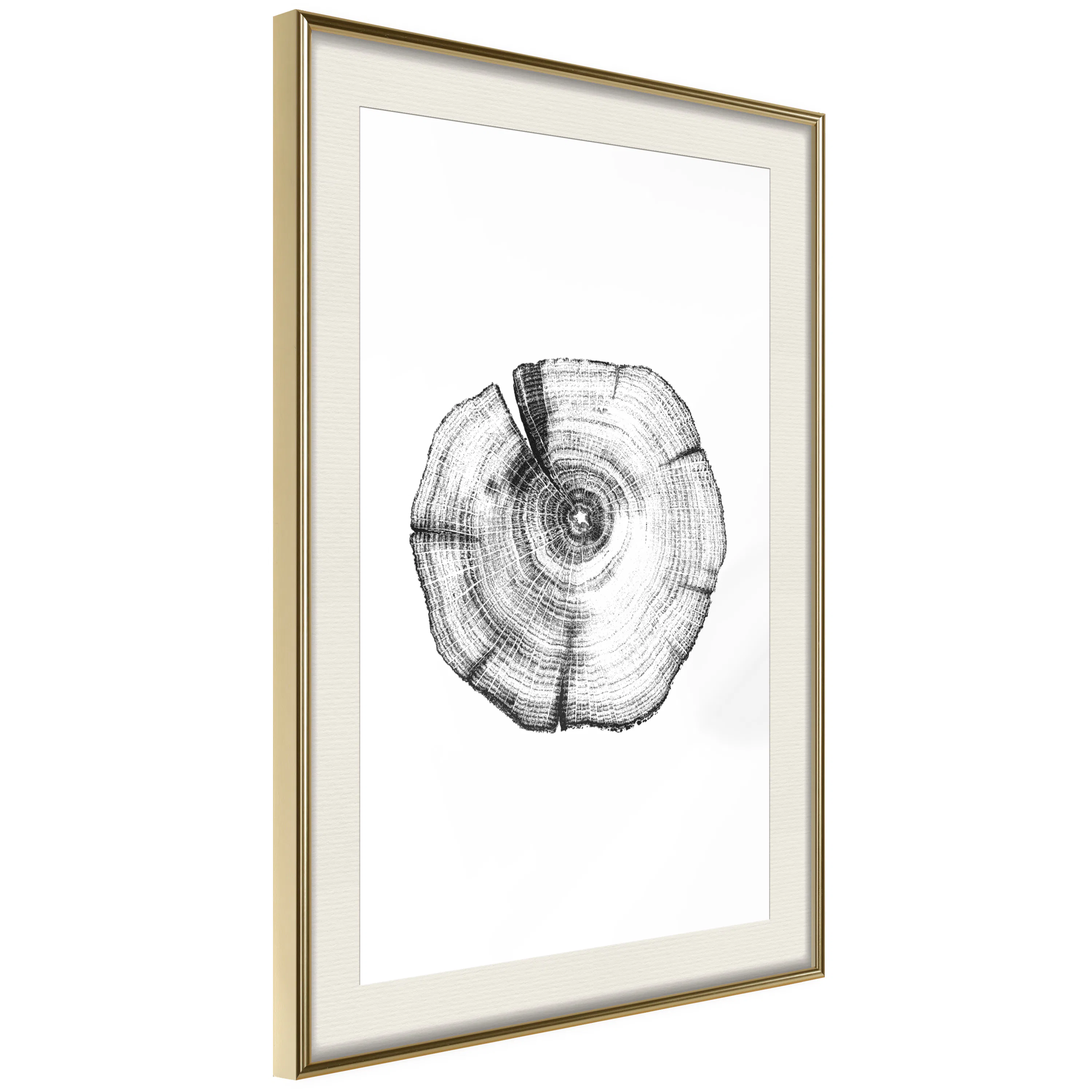 Poster Artgeist Affisch Wood Slice