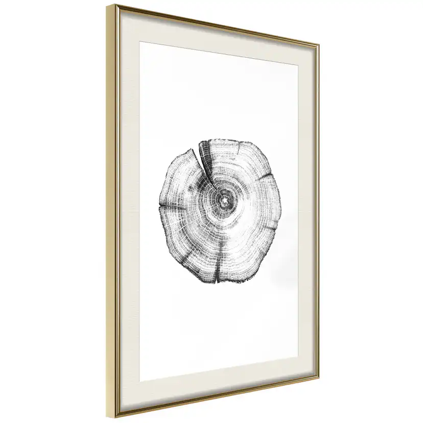 Poster Artgeist Affisch Wood Slice